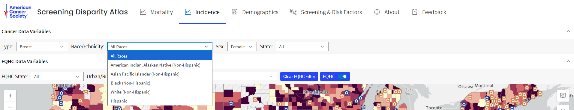 Expanded view of Incidence Map Query Panel (Race/Ethnicity)